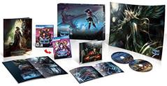 Nexwave Video Games Inc. - Stranger of Sword City [Limited Edition] - Video Game - Playstation Vita