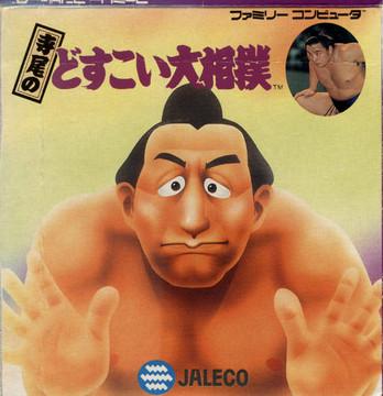 Nexwave Video Games Inc. - Terao no Dosukoi Oozumou - Video Game - Famicom